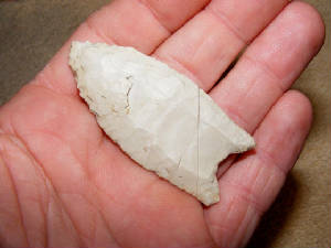 clovis11c.jpg