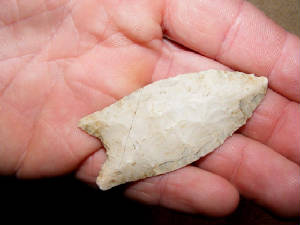 clovis11c.jpg