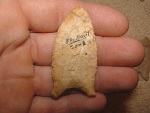 dalton1.jpg