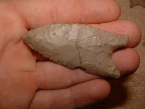 quad7.jpg